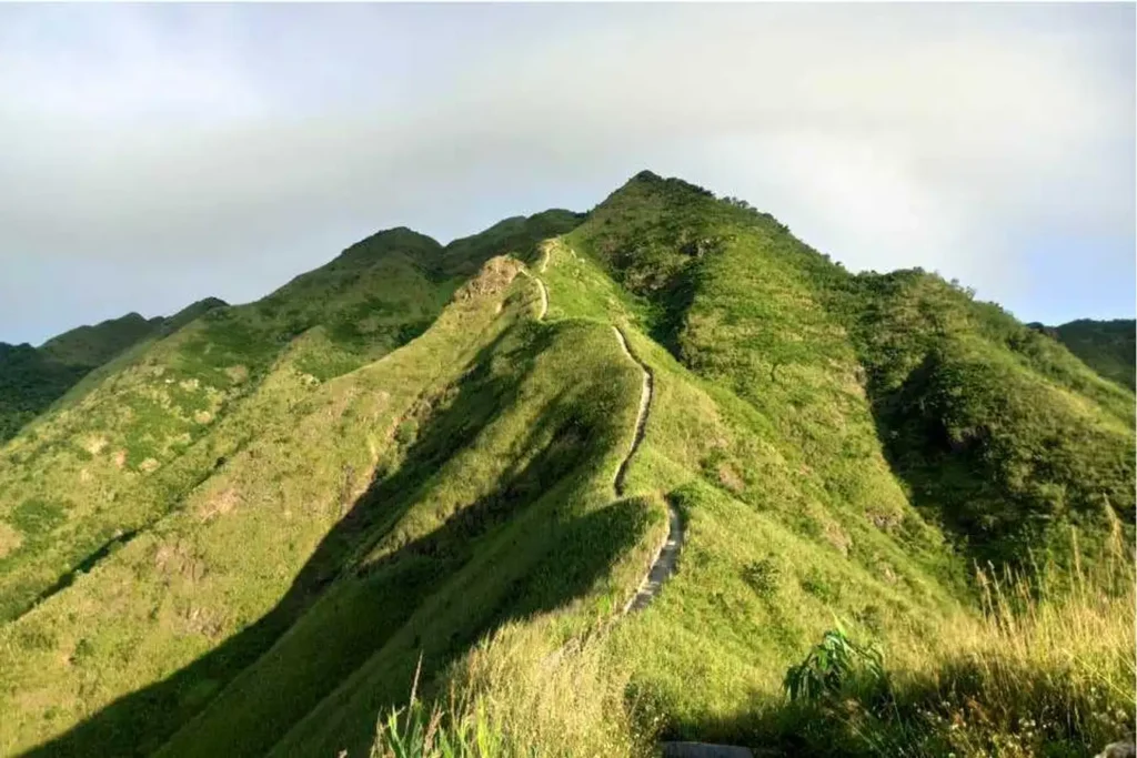 Sống Lưng Khủng Long Du Lịch Tà Xùa